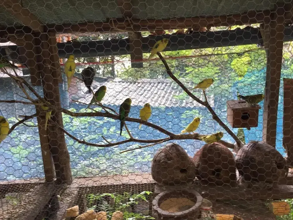 Элла: Ella Sumanaramaya Inn