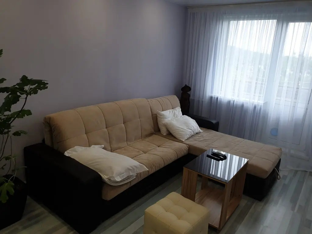 Владивосток: Апартаменты Green lamp Apartments Russian Island