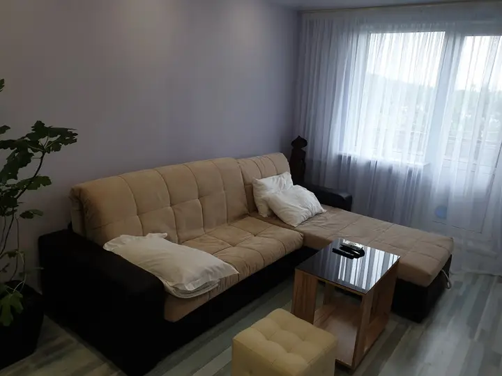 Владивосток: Апартаменты Green lamp Apartments Russian Island
