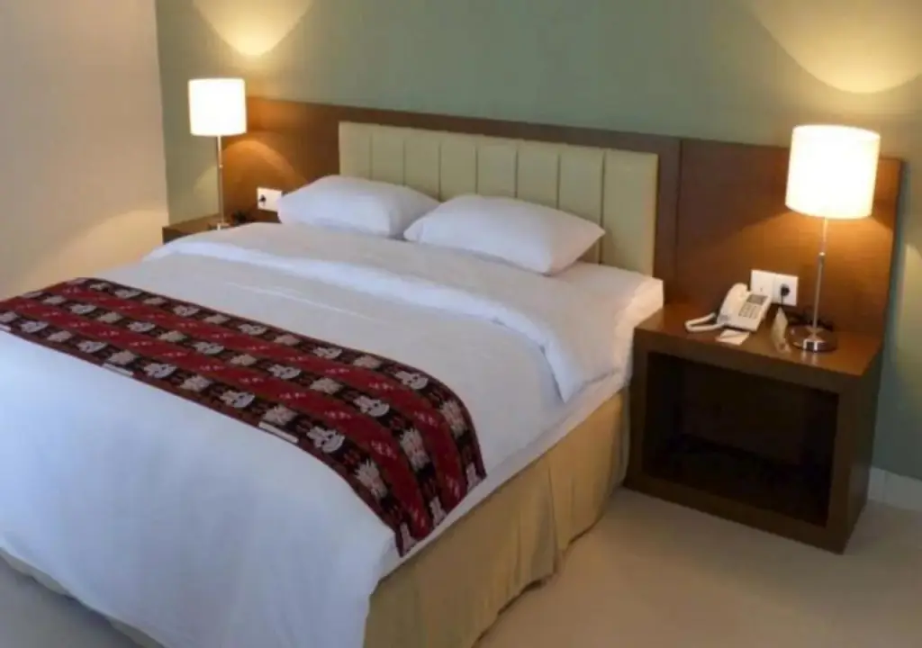 Палангкарая: Hotel Luwansa