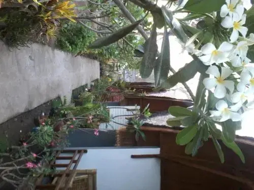 Гили Аир: One World Bungalow