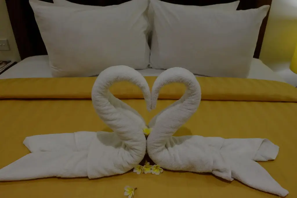 Танджунг: Mina Tanjung Hotel