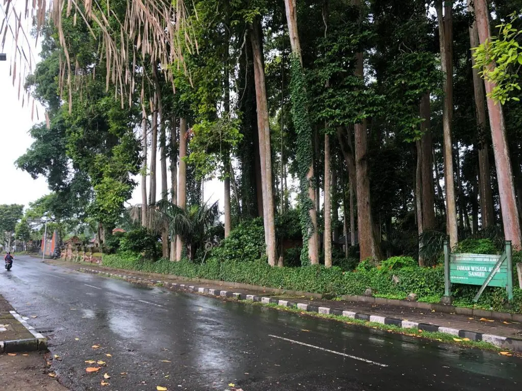 Пемутеран: Pondok Shindu Guest House