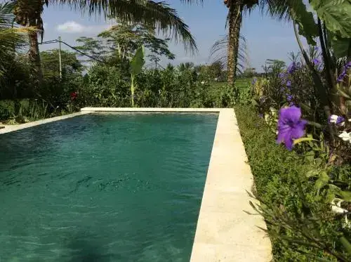 Убуд: Ubud Rice Field Villa