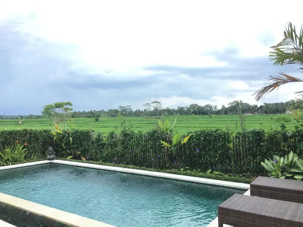 Убуд: Ubud Rice Field Villa