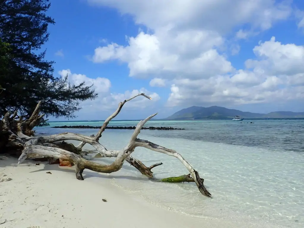 Джепара: Ayu Hotel Karimunjawa