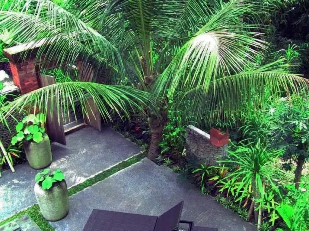 Убуд: Pondok Bata Duplex Style