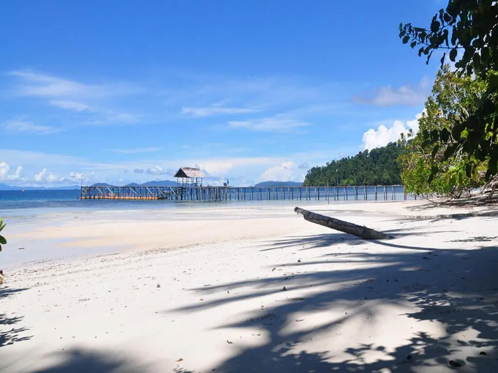 Вагете: Waiwo Dive Resort Raja Ampat