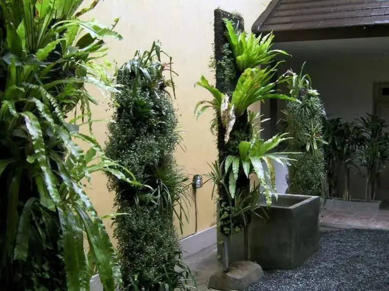 Кута: Studio 8D Residence
