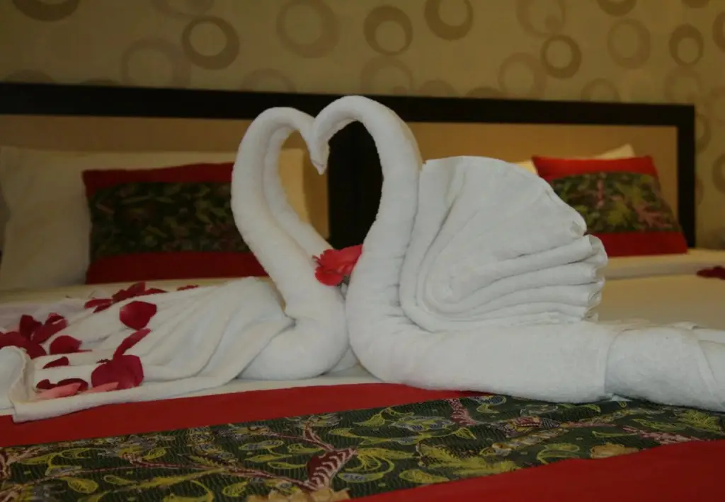 Букиттинги: Treeli Boutique Hotel