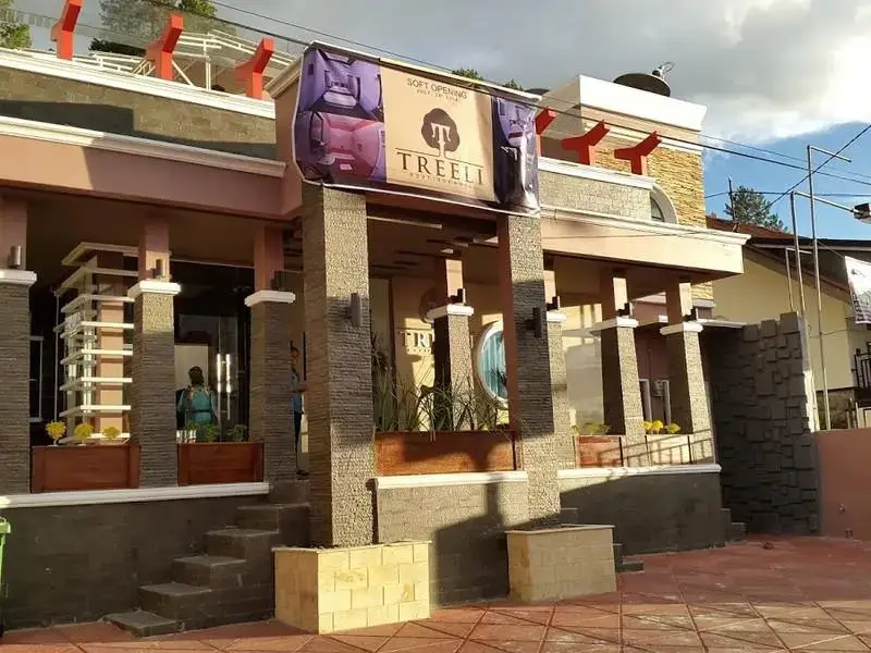 Букиттинги: Treeli Boutique Hotel