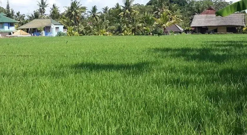 Убуд: Jepun and Sandat Bali Villa