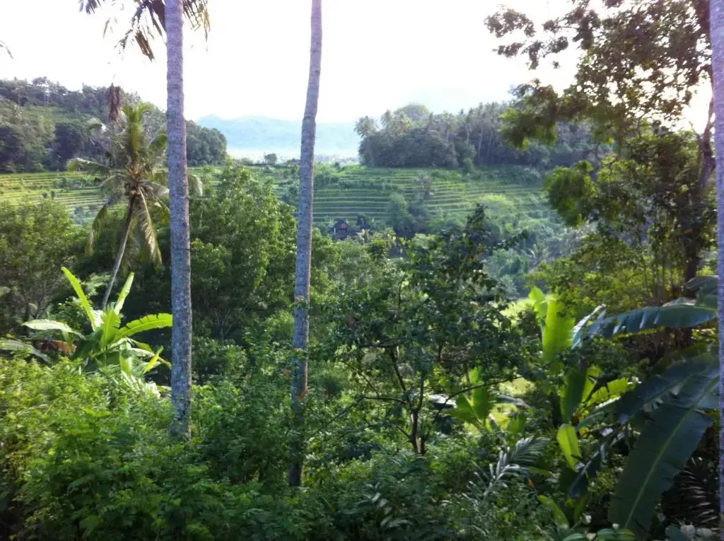 Абаби: Pondok Alam Bukit