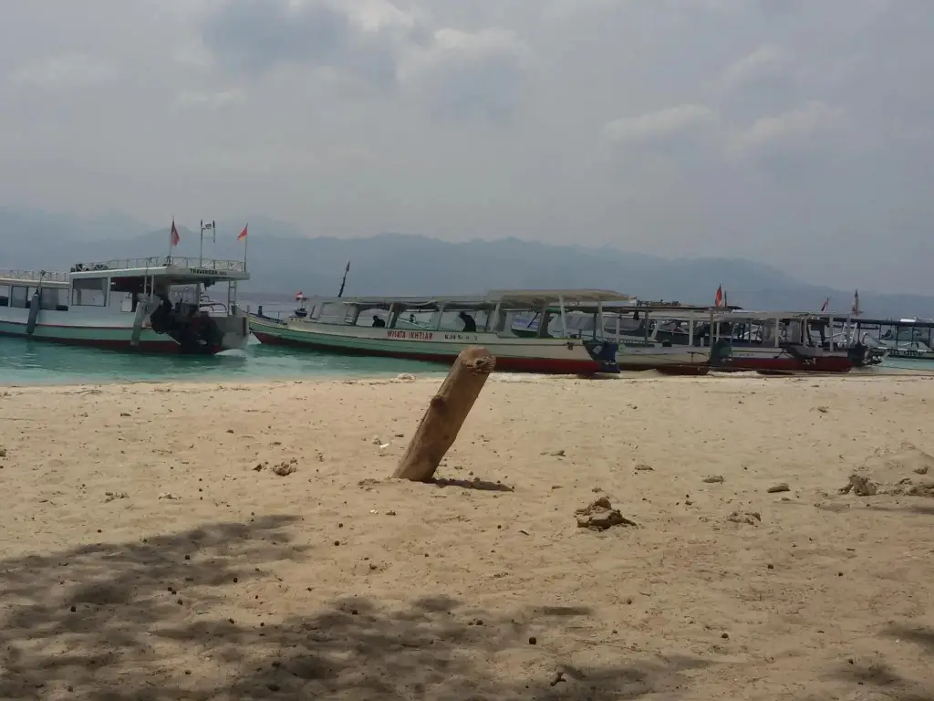 Гили Траванган: Beach Box Bungalow