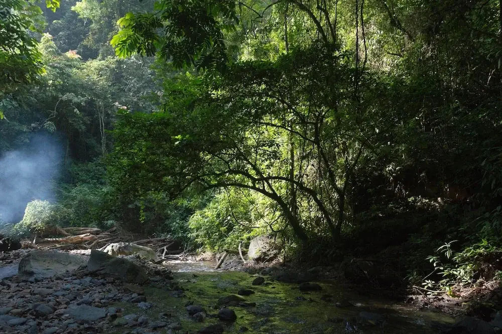 Готонг Ройонг: Room-holiday Rental in Sumatra