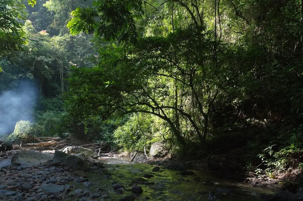Готонг Ройонг: Room in Lodge - Holiday Rental in Sumatra