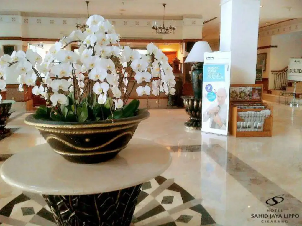 carousel image 0