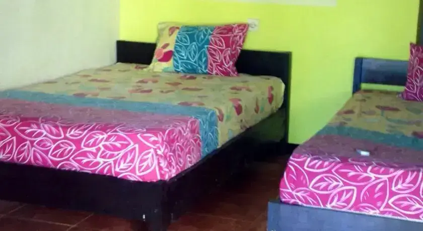 Three Little Birds Homestay — фото 1
