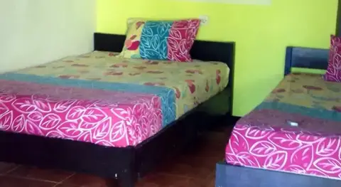 Three Little Birds Homestay — фото 1