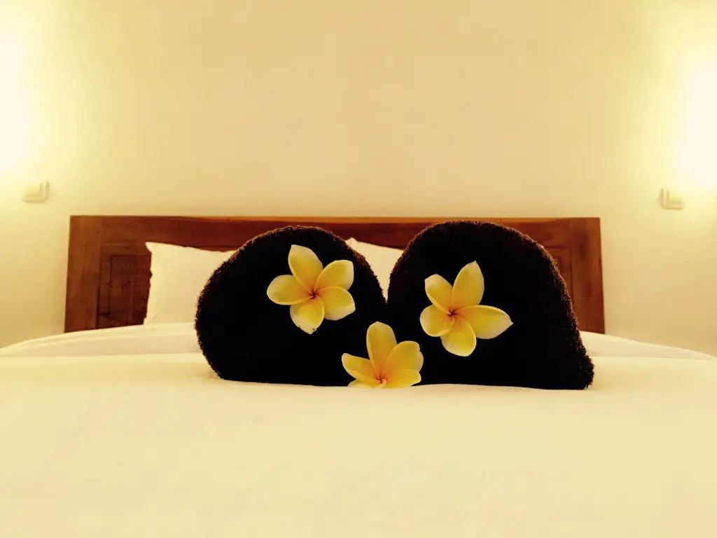 Джианьяр: Hotel Gianyar