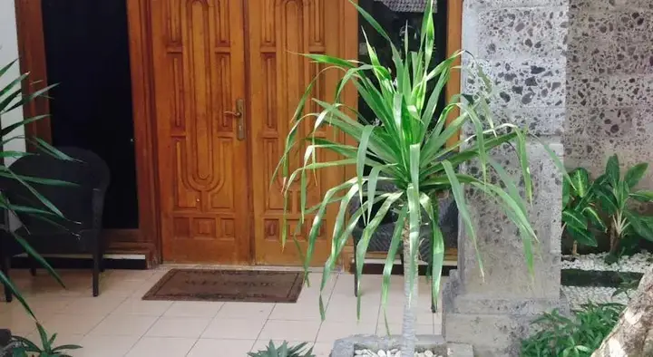 Кута: Villa Puri Taryn