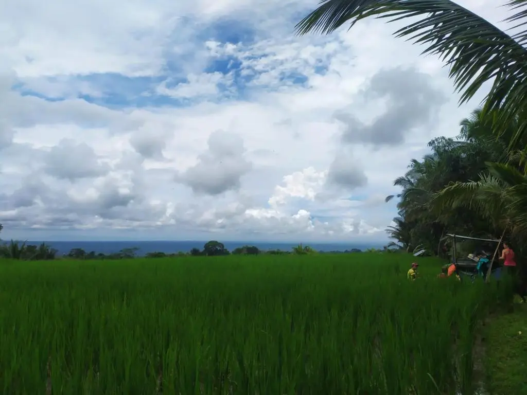 Пенебел: tegal jero homestay