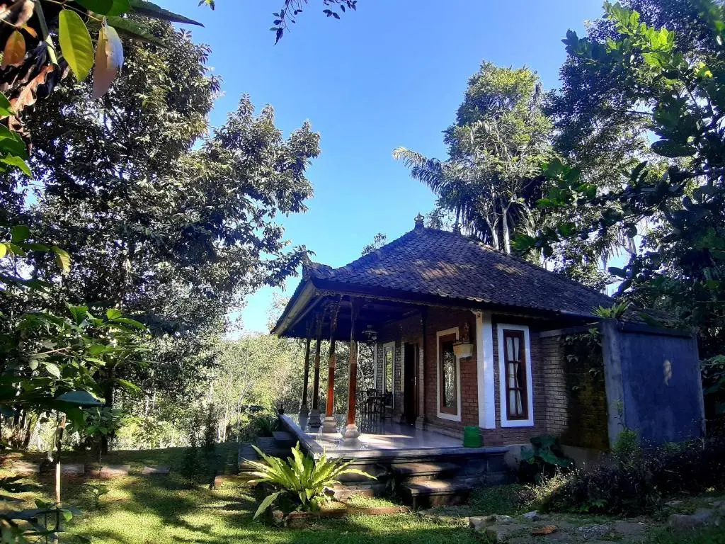Пенебел: tegal jero homestay