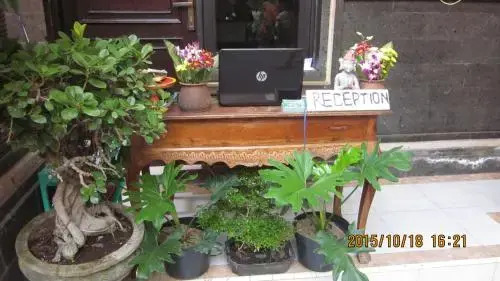 Кута: Bali Semesta Hostel