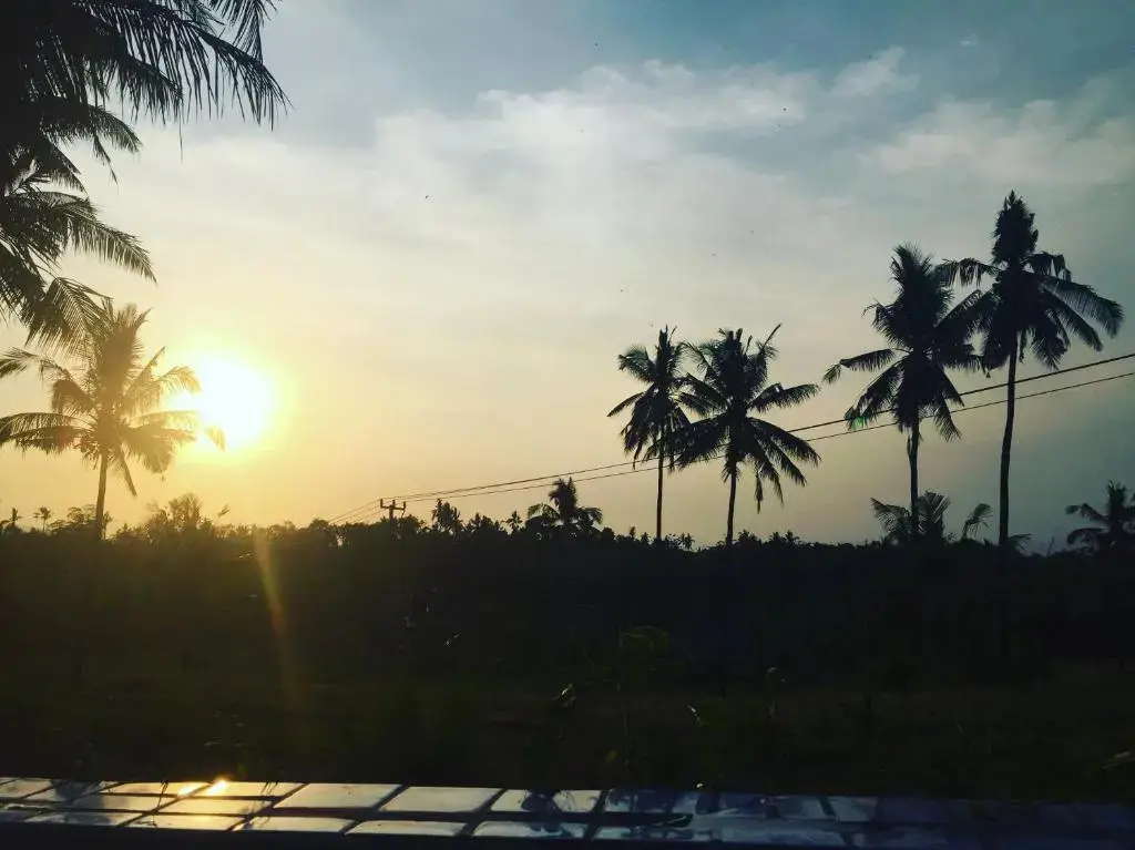 Сукасада: Lafyu Bali