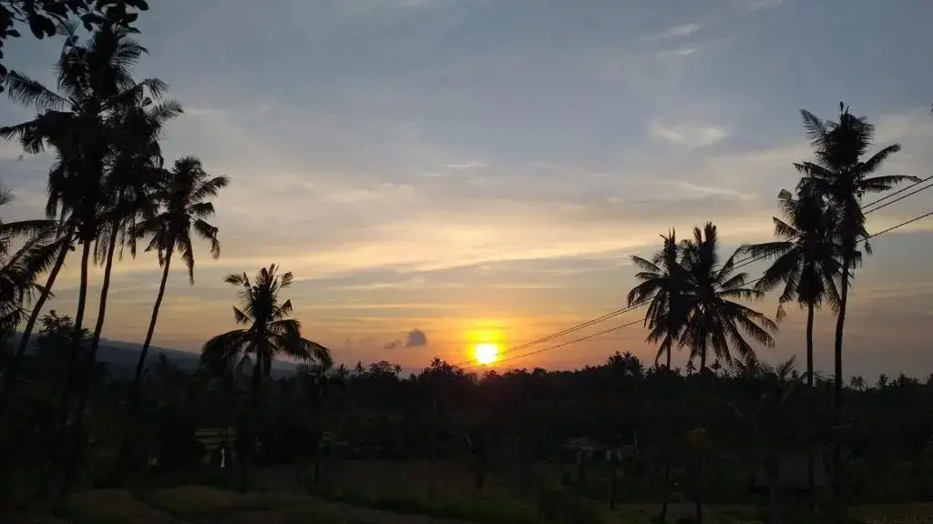 Сукасада: Lafyu Bali