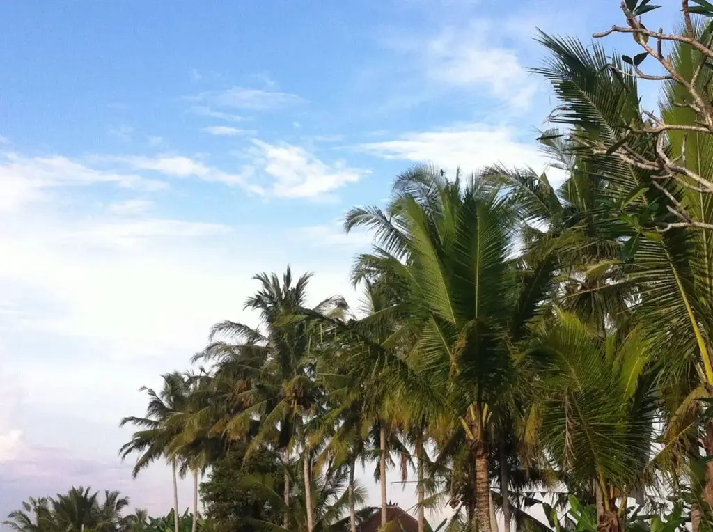 Тегаллаланг: Kanomayasa Ubud Villa