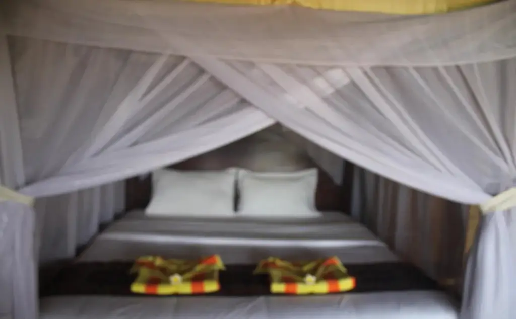 Jerowaru: Surf Garden Lombok