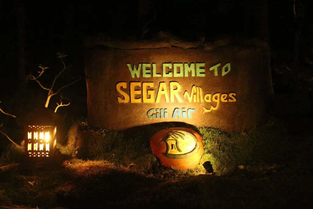 Segar Village — фото 1