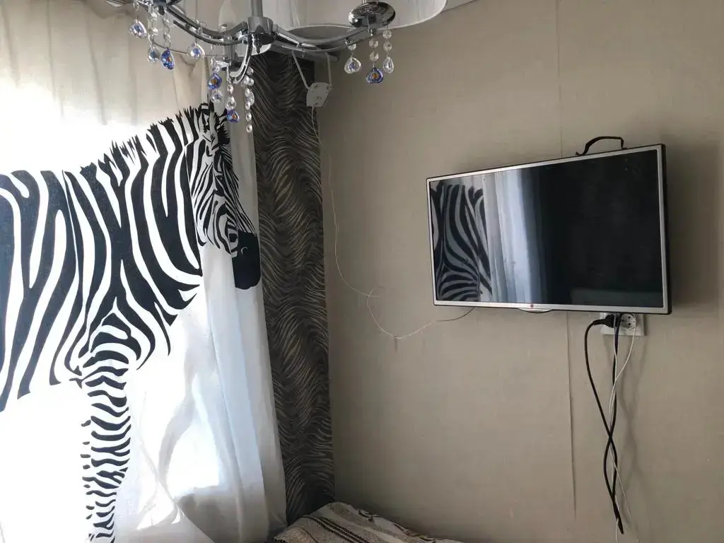 Петропавловск-Камчатский: Ladom 3kh Komnatnye Apartments