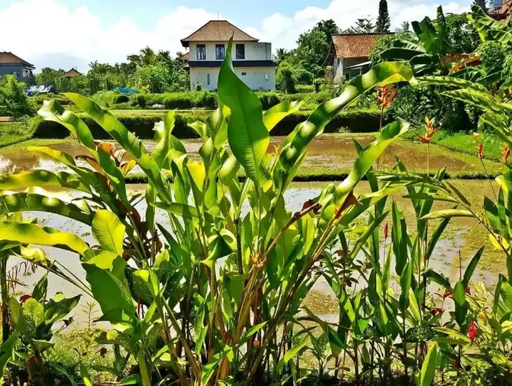 Убуд: Rendira Villa