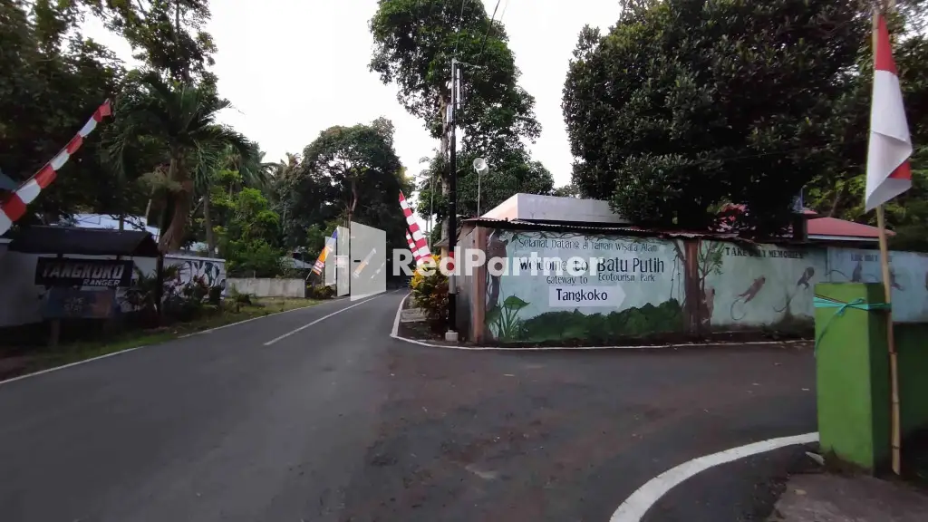 Битунг: Tangkoko Ranger Homestay