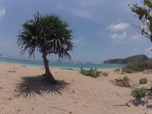 Кута: Pantai South Lombok Villas