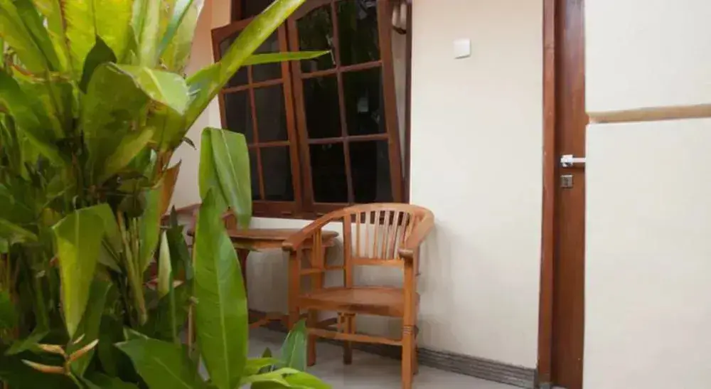 Кута: 巴厘岛酷猴旅馆(Funky Monkey Bali)