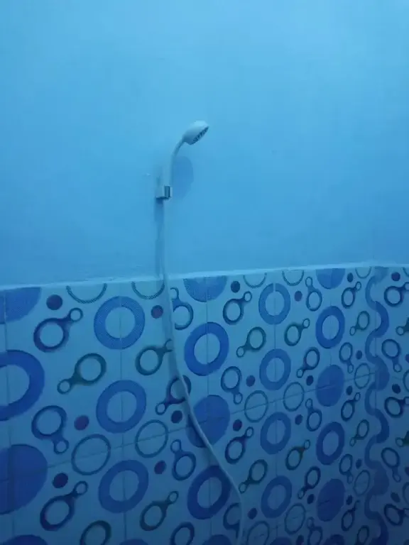 Остров Менджанган: Kawah Ijen Guest House