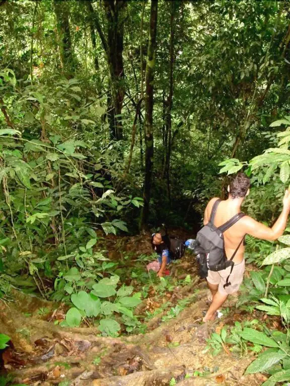 Готонг Ройонг: Indra Valley Inn Bukit Lawang