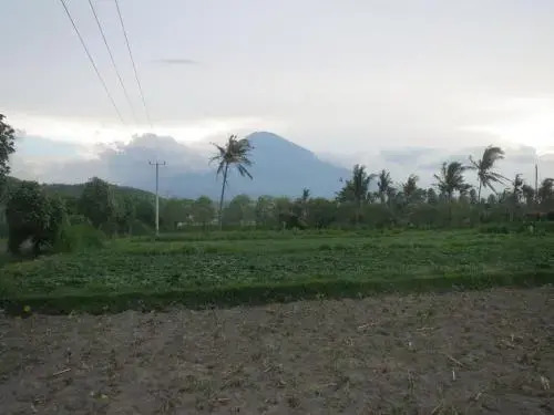 Пурвакерти: Mesari Homestay & Warung