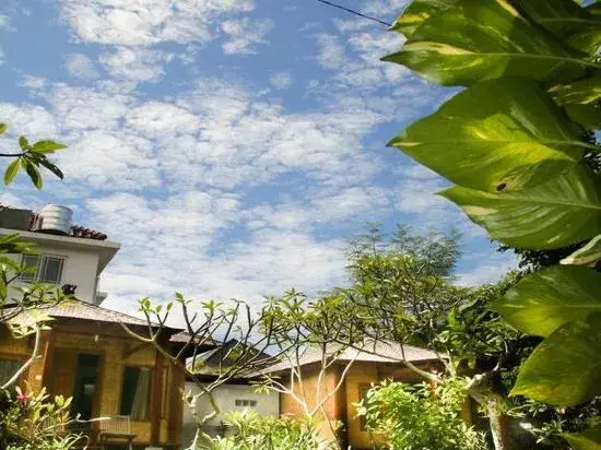 Унгасан: Timbis Homestay Bali