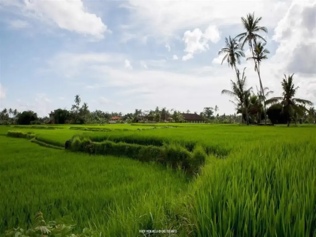 Убуд: Ubud Riverview Villa