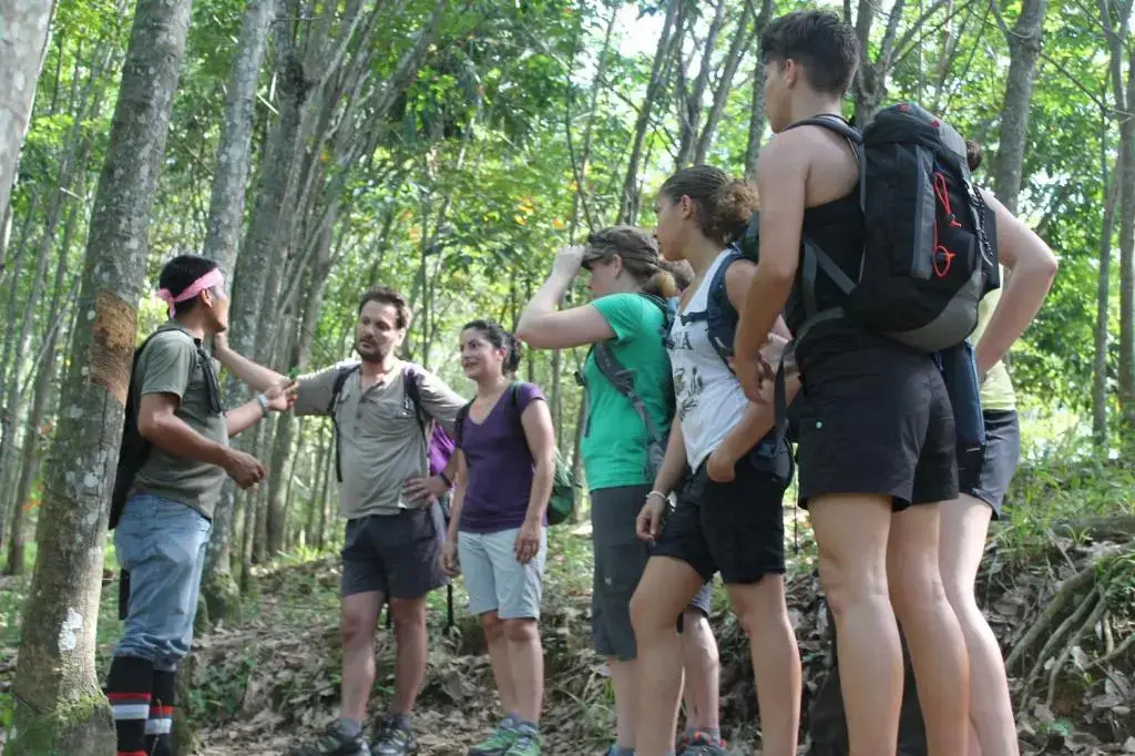 Букит Лаванг: Rain Forest Guest House