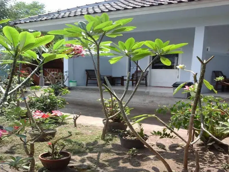 Гили Аир: Jibril Guest House