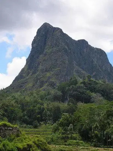 Рантепао: Tongkonan Layuk Lion