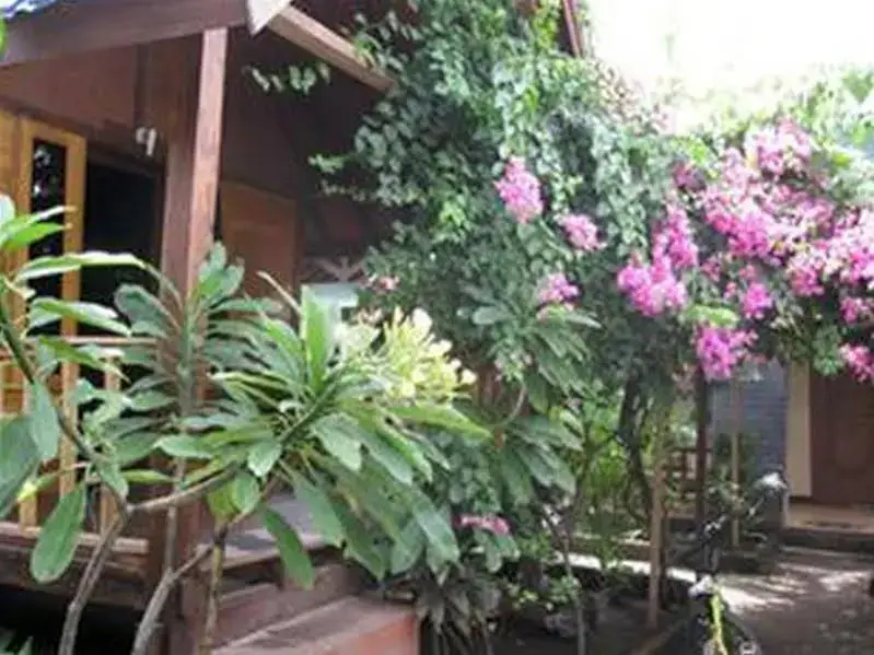Гили Траванган: Bukit Karisma Bungalow 2