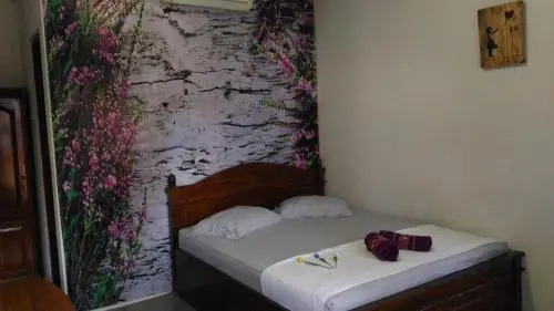 Джокьякарта: Holland Guest House Yogyakarta