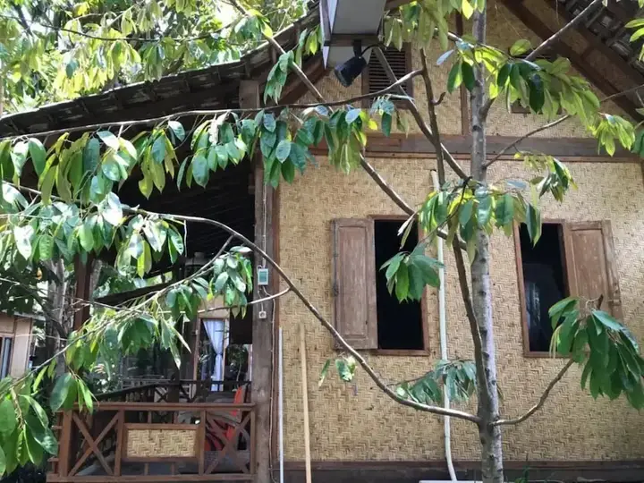 Баньюванги: Didu's Homestay Bed & Breakfast