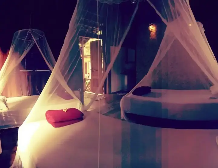 Баньюванги: Didu's Homestay Bed & Breakfast